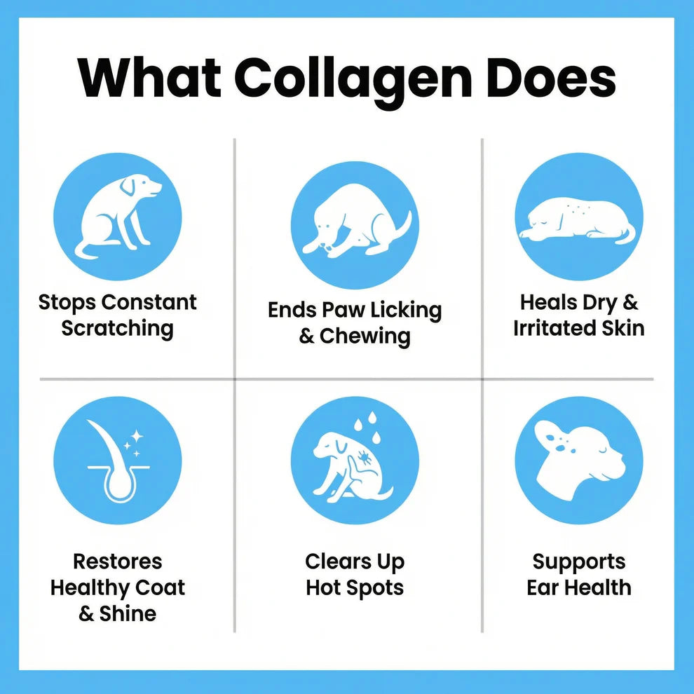 Enevora Premium Anti-Itch Collagen Drops