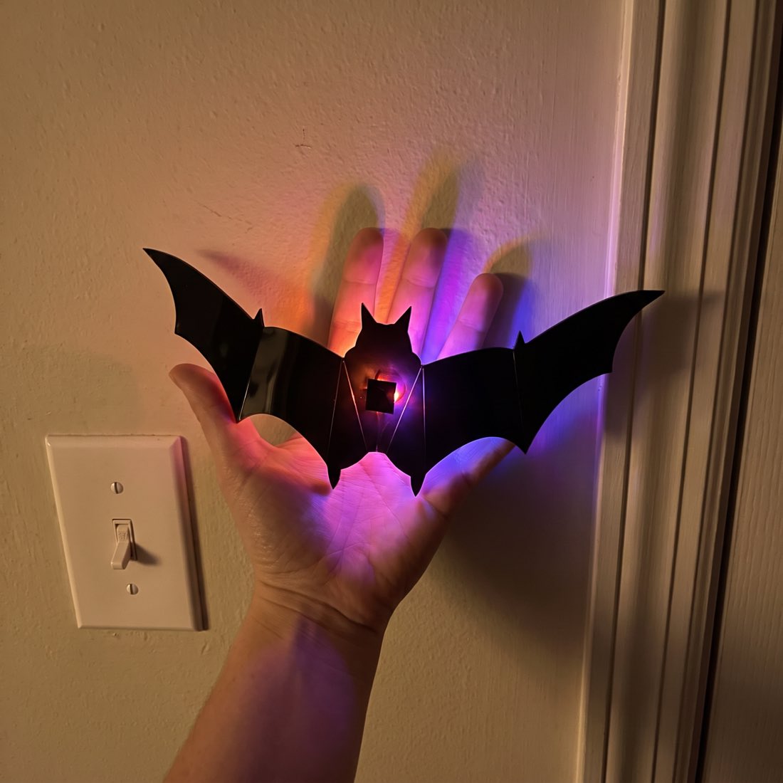 A bat held in a hand beside a light switch for scale
