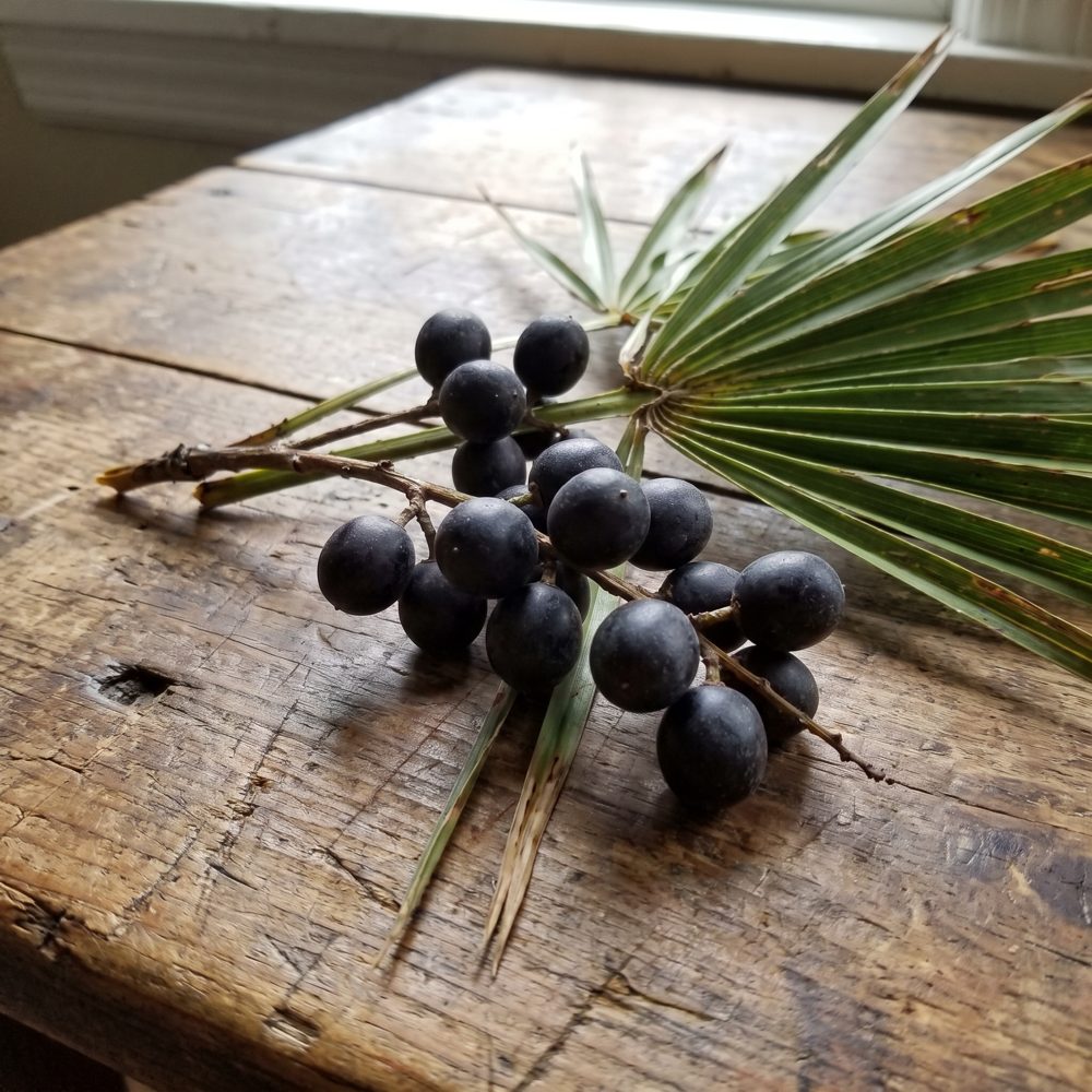 pumpkin ing palmetto